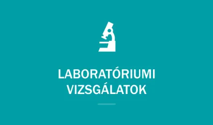 laboratoriumi vizsgalatok