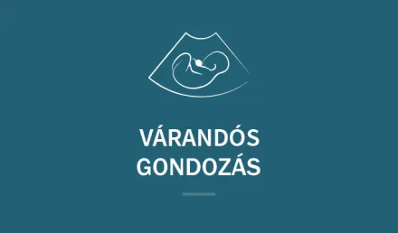 terhesgondozas